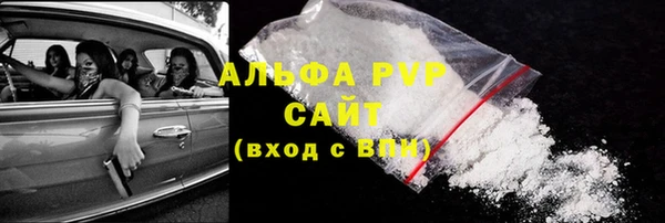 индика Магас