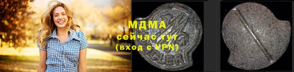 индика Магас