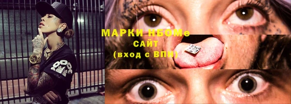 шишки Майский