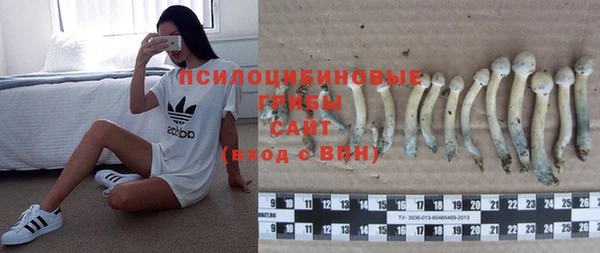 2c-b Медвежьегорск