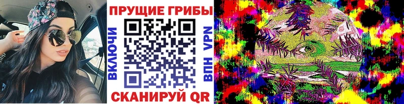 хочу   Шилка  Галлюциногенные грибы Magic Shrooms 